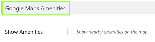 Google Maps Amenities Section