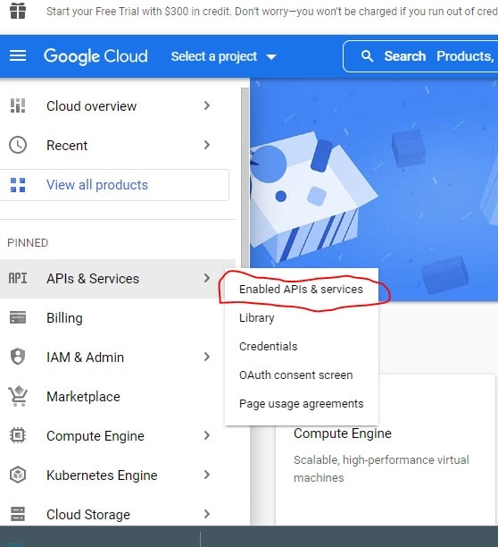 Enable APIs & Services in Google Maps Console