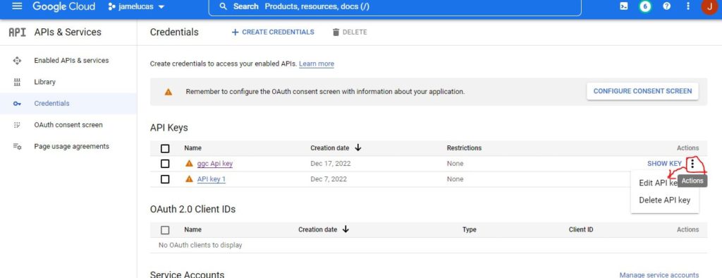 Edit Google Maps API Key